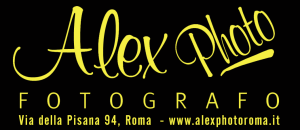 logo.aLEX